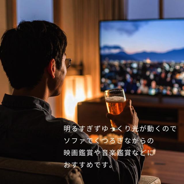 HotaluX（蛍クス） LED最高限度ともし火 ＜日本製＞ ~8畳(日本ともし火産業会標準尺度)4299ルーメン 調光印字機 常夜灯 遠隔操作 かんたん欠席タイマ