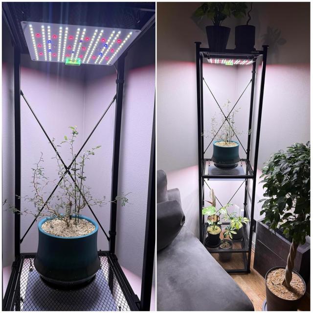 Niwuno 植物育成ライト パネル式 LEDライト UVa+IR 観葉植物/アガベ