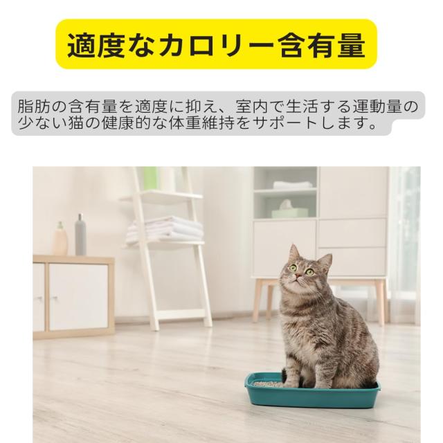 室内で生活する猫専用フード 自社ロゴジッパー式袋付 ロイヤルカナン 