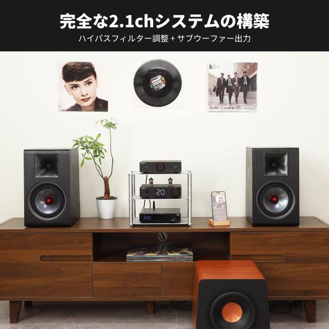AIYIMA A20 ステレオアンプ TPA3255 2.1 チャンネル HiFi フルバランス