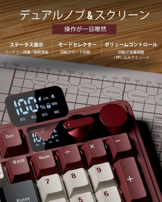 【Amazon.co.jp限定】RK ROYAL KLUDGE M100 メカニカルキーボード 日本語配列 無線 ゲーミングキーボード テンキー付き 96%コンパクト LC_3