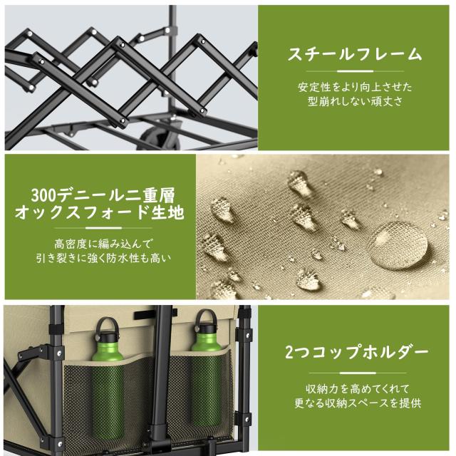 Raynesys キャリーワゴン 【2025新登場】【後部展開可 長物対応】 ミニ
