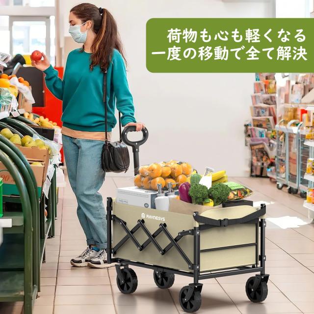 Raynesys キャリーワゴン 【2025新登場】【後部展開可 長物対応】 ミニ