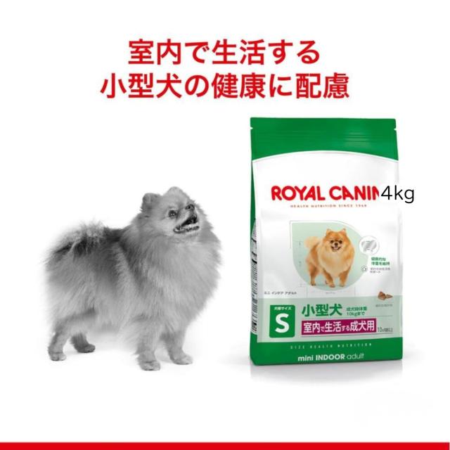ロイヤルカナン SHN ミニ インドア アダルト 室内で生活する小型犬 4kg 成犬用 犬用 ドッグフード ドライ + SAKURANポケットティッシュ_1