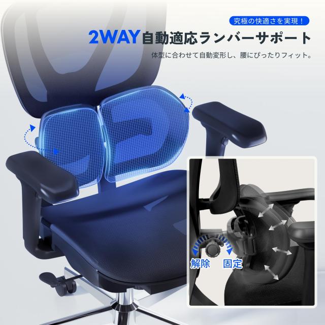 FLEXISPOT オフィスチェア デスクチェア C8 人間工学 エルゴノミクス 