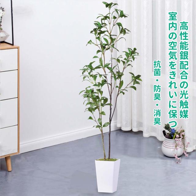 フェイクグリーン 人工観葉植物 観葉樹 造花 アセビ 馬酔木 高さ110cm 鉢植え 植木 光触媒 空気清浄 世話がない 屋内 ホーム 玄関 オフィ