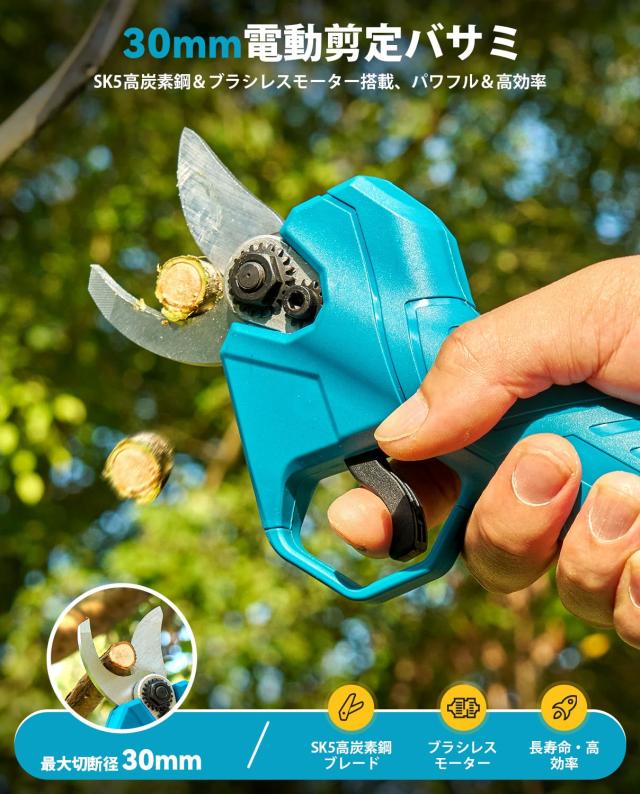 【2026年新型】SEESII たかえだ電動チェーンソー 高枝切り剪定バサミ 1台4役 4.0Ah大容量バッテリー2個付 125-250cm伸縮式延長ポール ブ_5