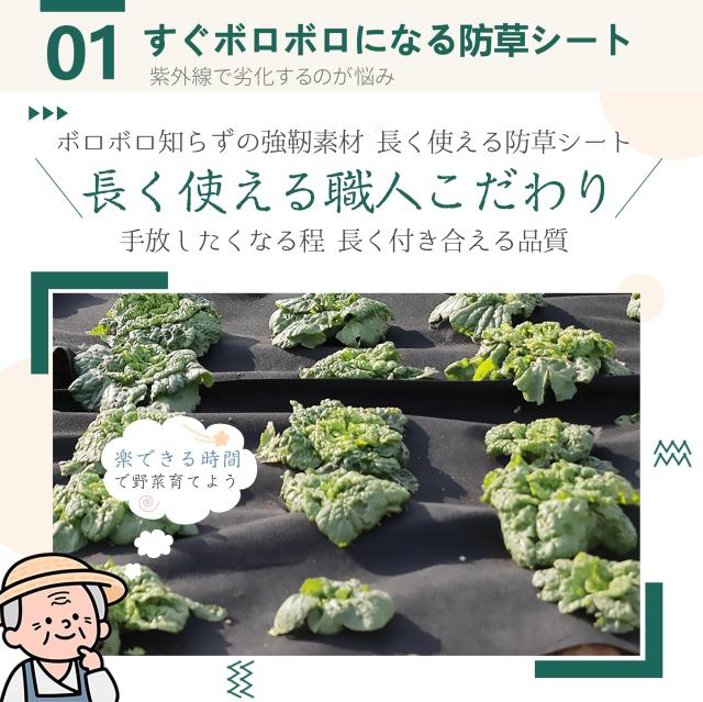 防草シート 2m×30m 除草シート 不織布 10年耐久 雑草防止シート 耐候剤配合 高透水 高耐久 高密度 ぼうそうしーと 厚手 防そうシート 工_2