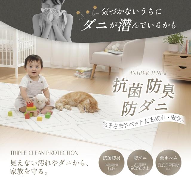 PEADEEAS カシミヤ風ラグ リビング・ダイニング・子ども部屋・ベッドルームまで幅広く対応 ダイヤ柄 200×200cm 洗える ふわっと手触り_3