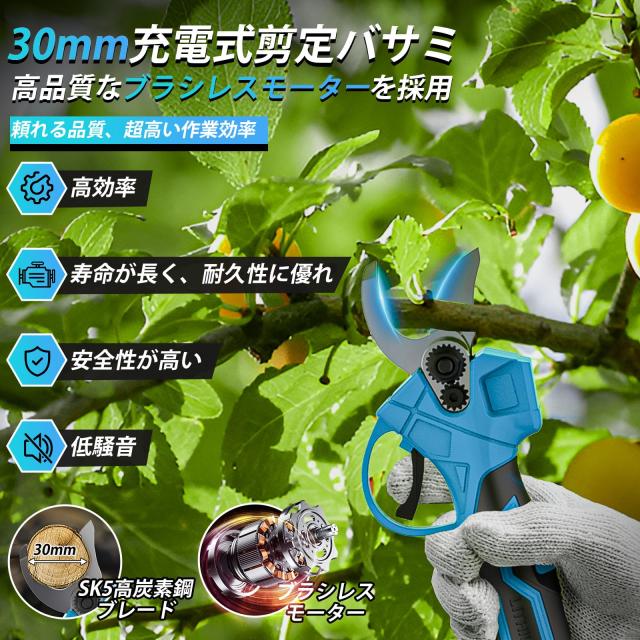 【2025年新モデル】たかえだ 電動 チェーンソー 充電式 6インチブラシレス 高枝チェーンソー 電動バサミ 剪定ハサミ セット 4.0Ah大容量_4