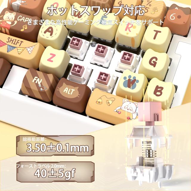 AJAZZ AK029 片手ゲーミングキーボード メカニカルキーボード ラピッドトリガー対応 29キー配列 磁軸対応 8000Hzポーリングレート0.01mm_4