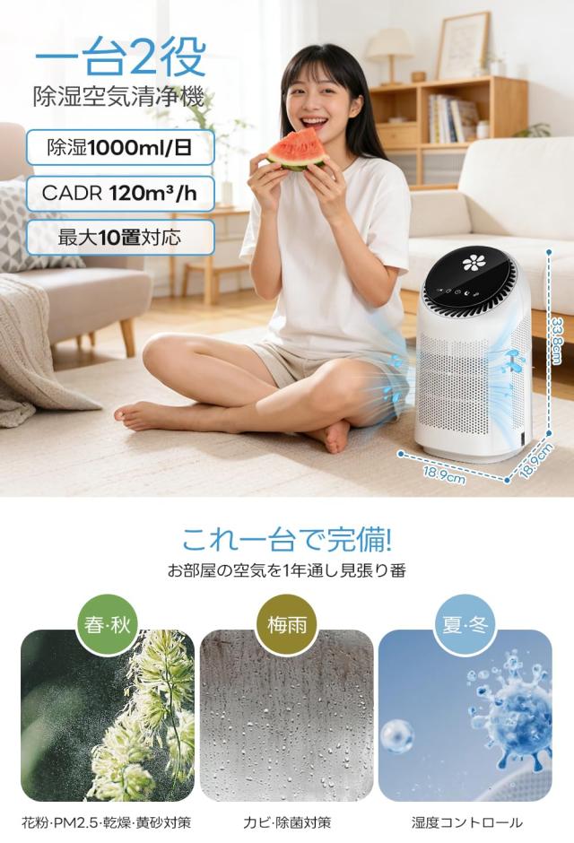 除湿機 小型 【除湿+空気清浄 2in1】一日1000ml除湿700ml大容量タンク
