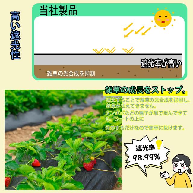防草シート 厚手 高耐久 2×50M 高密度 130g/m？ シート防草 不織布 除草シート補修テープ 雑草防止シート固定ピン100本と黒丸100枚付き_2