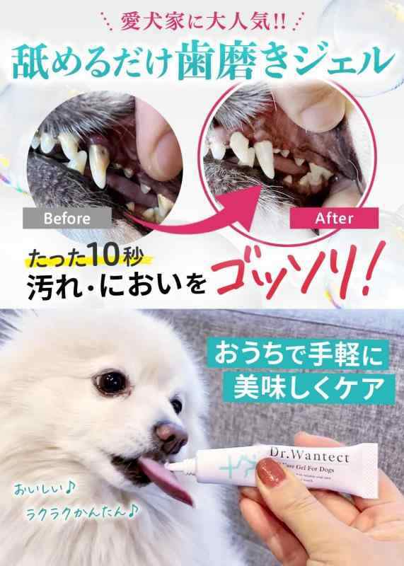 Ｄｒ．Ｗａｎｔｅｃｔ 犬用 歯磨きジェル 口腔ケア 犬 歯磨き 歯磨き粉 ...