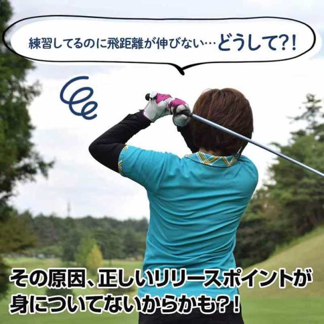 ダイヤゴルフ(DAIYA GOLF) ダイヤスイングシリーズ スイング練習器具 