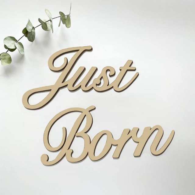 ニューボーンフォト 新生児Just Born 月齢フォト ウッドレター 出産