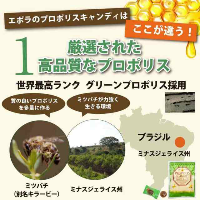 グリーンプロポリス 原液 4つ - その他 加工食品