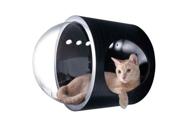 宇宙船 猫ハウス ペット用ベッド ドーム状 壁付け対応 床置き対応 空気穴 Amazon | MYZOO 宇宙船 猫ハウス ペット用ベッド ドーム状 壁