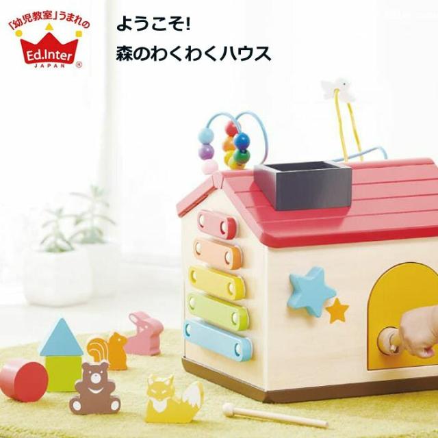 【Ed.Inter エド・インター】 ようこそ！森のわくわくハウス 知育玩具 木製玩具 木のおもちゃ えんとつあそび ドールハウス 型はめの通販は