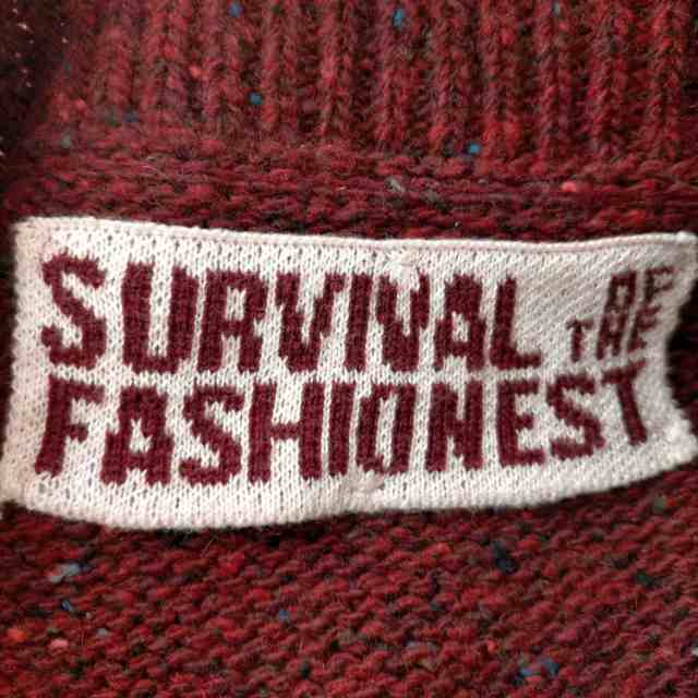 USED古着(ユーズドフルギ) 22AW {{survival of the fashionest}} フロントジップボタン ウールフリンジ  変形リブニット メンズ import：S 【中古】【ブランド古着バズストア】｜au PAY マーケット