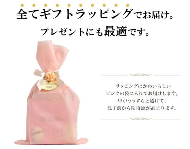 シアーズ ブレスレット レディース 1粒 誕生石 ブレス テディベア付 誕生日 女性 ブレスレット b6129-tdt-01 レディース プレゼント_13