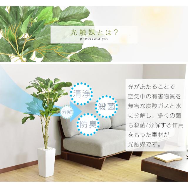 【光の楽園 ガジュマルタワー1.8m】新品 造花 光触媒 観葉植物 インテリア お祝い プレゼント 記念日 新築祝い 開店祝い 母の日 敬老の日