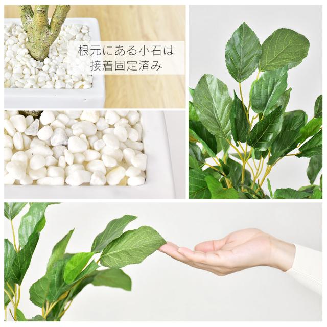 観葉植物 光触媒 フェイクグリーン 造花 人工観葉植物 陶器鉢 インテリア お祝い ギフト コーヒーツリー インテリア家具 おすすめ おしゃれ 北欧 big_ki プレゼント tm_6