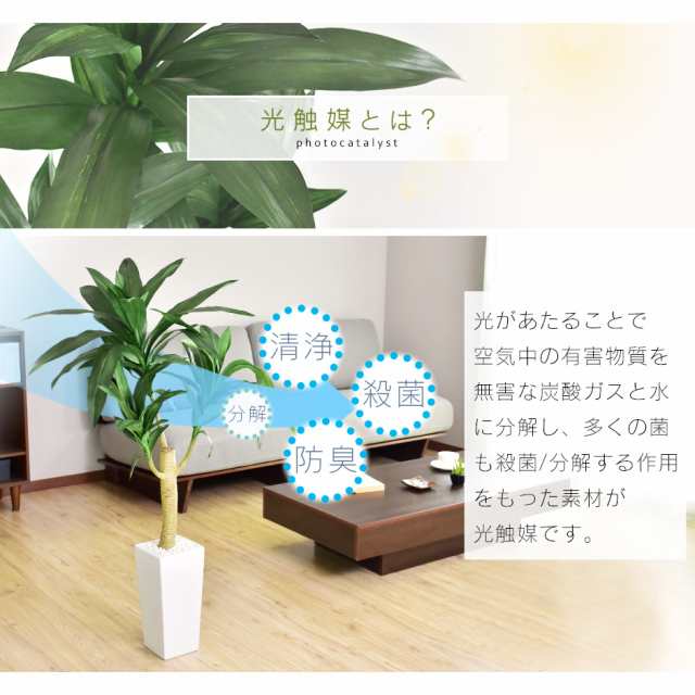 観葉植物 光触媒 フェイクグリーン 造花 人工観葉植物 陶器鉢 インテリア お祝い ギフト ドラセナ L インテリア家具 おすすめ おしゃれ