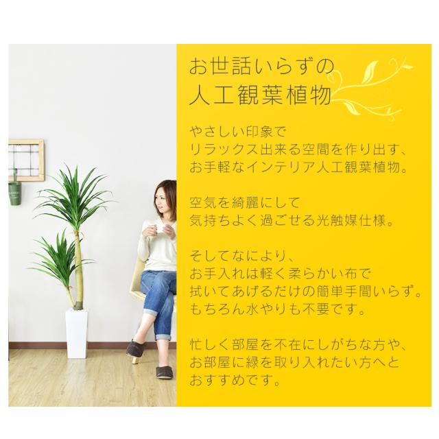観葉植物 光触媒 フェイクグリーン 造花 人工観葉植物 陶器鉢 インテリア お祝い ギフト ドラゴンツリー インテリア家具 おすすめ おしゃれ 北欧 big_ki プレゼント tm_2