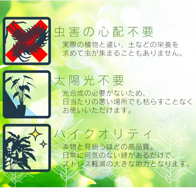 観葉植物 光触媒 フェイクグリーン 造花 人工観葉植物 陶器鉢 インテリア お祝い ギフト ドラゴンツリー インテリア家具 おすすめ おしゃれ 北欧 big_ki プレゼント tm_5