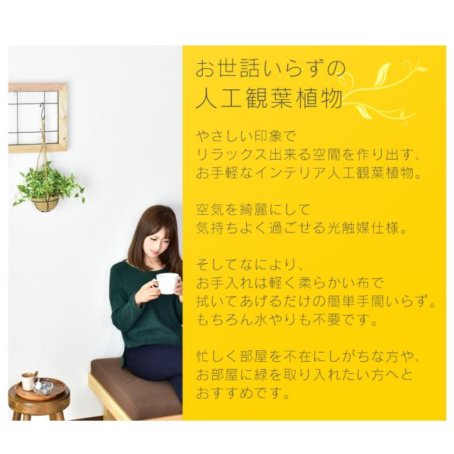 ポイント5倍 観葉植物 光触媒 フェイクグリーン 造花 吊り下げ 人工観葉植物 陶器鉢 インテリア お祝い ギフト ハンギング インテリアの通販はau Pay マーケット モバテリア