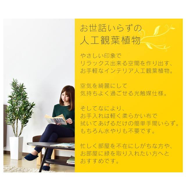 観葉植物 光触媒 フェイクグリーン 造花 125cm 人工観葉植物 陶器鉢 インテリア お祝い ギフト オリーブフルーツ インテリア家具 おすすめ おしゃれ 北欧 big_ki プレゼント tm_2