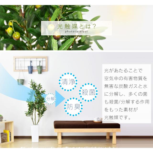 観葉植物 光触媒 フェイクグリーン 造花 125cm 人工観葉植物 陶器鉢 インテリア お祝い ギフト オリーブフルーツ インテリア家具 おすすめ おしゃれ 北欧 big_ki プレゼント tm_3