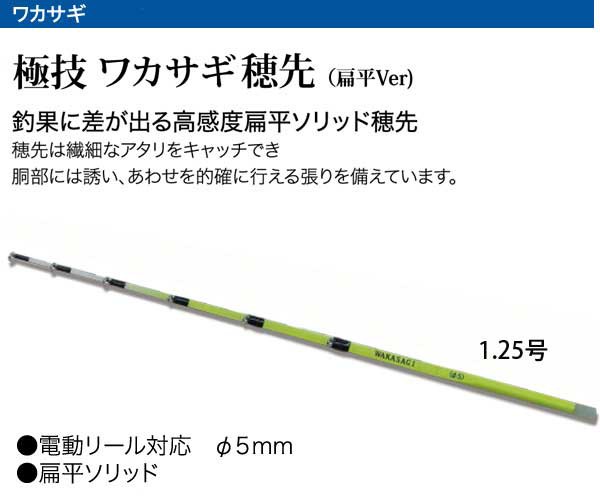 わかさぎセット 極技ワカサギ替え穂先 30cm HAPYSON 電動リールYH-202 電動セットの通販はau PAY マーケット -  ウエストコースト アウトドアShop