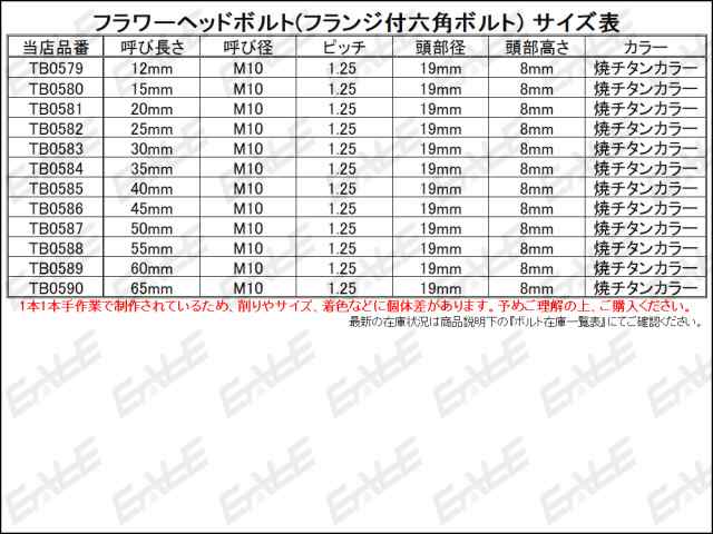 M10×40mm フラワー ヘッド ボルト ステンレス 削り出し フランジ付六角ボルト フレームやエンジン周りに 焼チタンカラー TB0585の通販はau  PAY マーケット - オートパーツ専門店 EALE