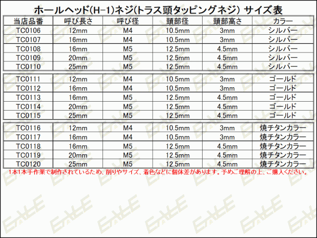 M5×20mm ホールヘッドネジ H-1 タッピングネジ ステンレス 削り出し トラス頭 焼チタンカラー TC0119の通販はau PAY マーケット  - オートパーツ専門店 EALE