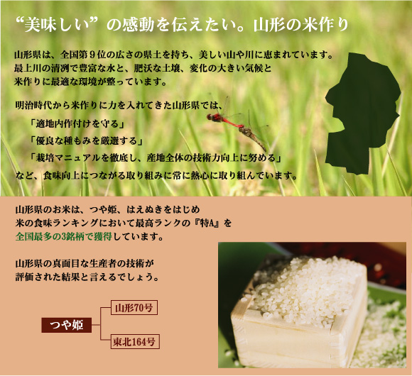 令和7年産 無洗米 山形県産 つや姫 20kg(5kg×4袋) 特別栽培米 [翌日