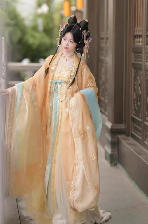 中華衣装 5点セット お姫様 華やか 漢服 中華コスプレ衣装 中国古代服装 皇后 貴妃 唐朝 宮廷 仮装 変装 繊細な刺繍 キラキラ フード付きマント 振袖羽織 神様 中華服 シフ 仙女_4