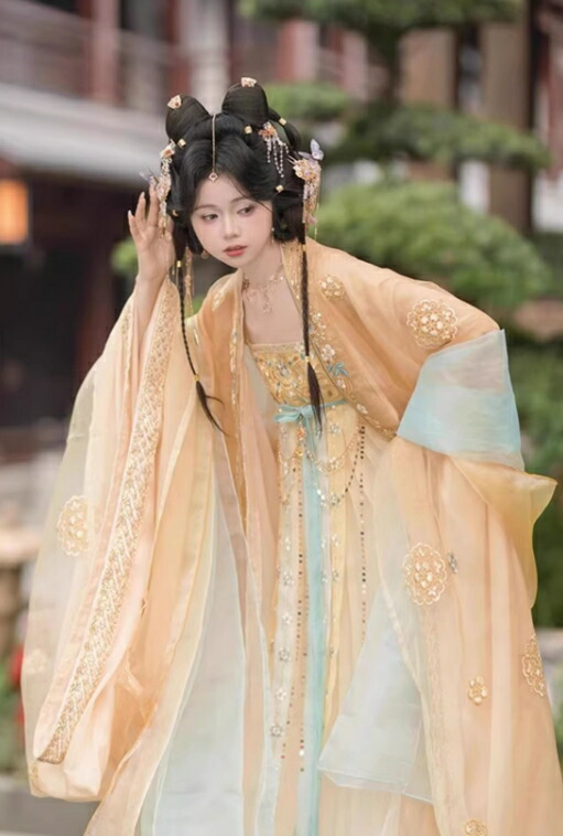 中華衣装 5点セット お姫様 華やか 漢服 中華コスプレ衣装 中国古代服装 皇后 貴妃 唐朝 宮廷 仮装 変装 繊細な刺繍 キラキラ フード付きマント 振袖羽織 神様 中華服 シフ 仙女_5