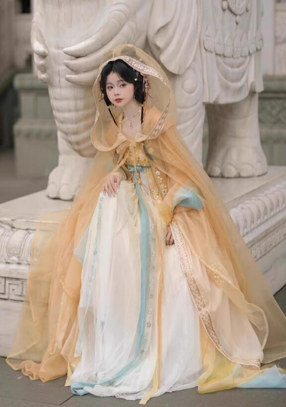 中華衣装 5点セット お姫様 華やか 漢服 中華コスプレ衣装 中国古代服装 皇后 貴妃 唐朝 宮廷 仮装 変装 繊細な刺繍 キラキラ フード付きマント 振袖羽織 神様 中華服 シフ 仙女_6
