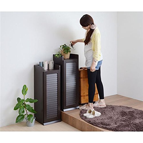 SoBuy 靴箱 スリム 薄型 下駄箱 シューズボックス シューズ SoBuy 靴箱 スリム 薄型 下駄箱 シューズボックス シューズ