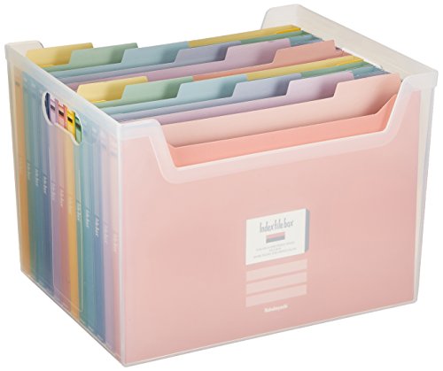 ナカバヤシ インデックス ファイルボックス 書類収納ケース F4 クリア フボI-F4Cの通販は 5,740円