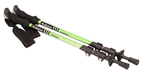 ALBATRE(アルバートル) アルミトレッキングポール 2本組 (I型グリップ) ALTIP2210の通販は 5,166円