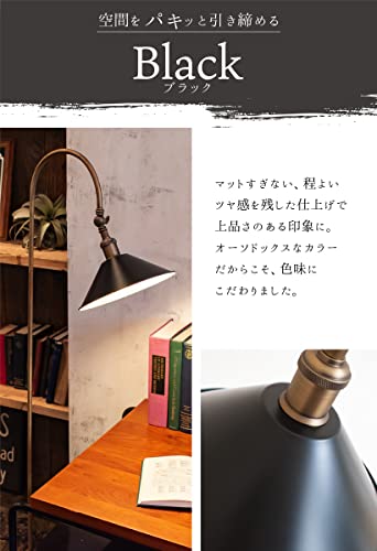 Ampoule Ampoule公式 間接照明 おしゃれ フロアライト 照明
