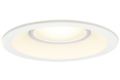 東芝ライテック LEDダウンライト 浴室 アウトドア LED一体形 電球色 60W φ100の通販は
