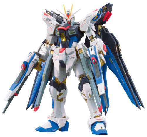 RG 機動戦士ガンダムSEED DESTINY ZGMF-X20A ストライク