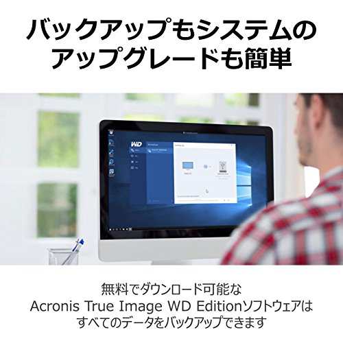 WD 内蔵SSD 2.5インチ / 250GB / WD Blue 3D / SATA3.0 / 5年保証 / WDS250G2B0A