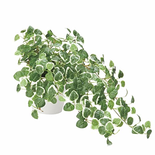 光触媒 人工観葉植物 光の楽園 プミラ 557H70の通販は