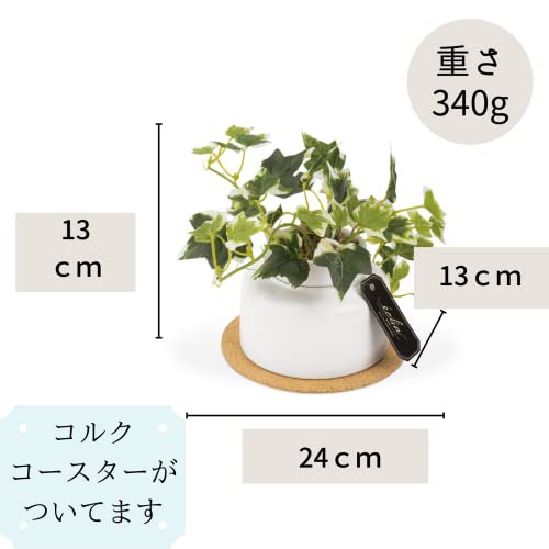 【人気商品】キシマ kishima 人工観葉植物 フェイクグリーン 人工植物 枯