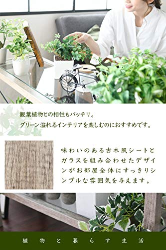 JKプラン デスク 幅90 ガラス 古材 古木 インテリア 奥行45 グリーン 観葉植物 シャビ— 植物 棚 ラック FAW-0003-NAの通販は